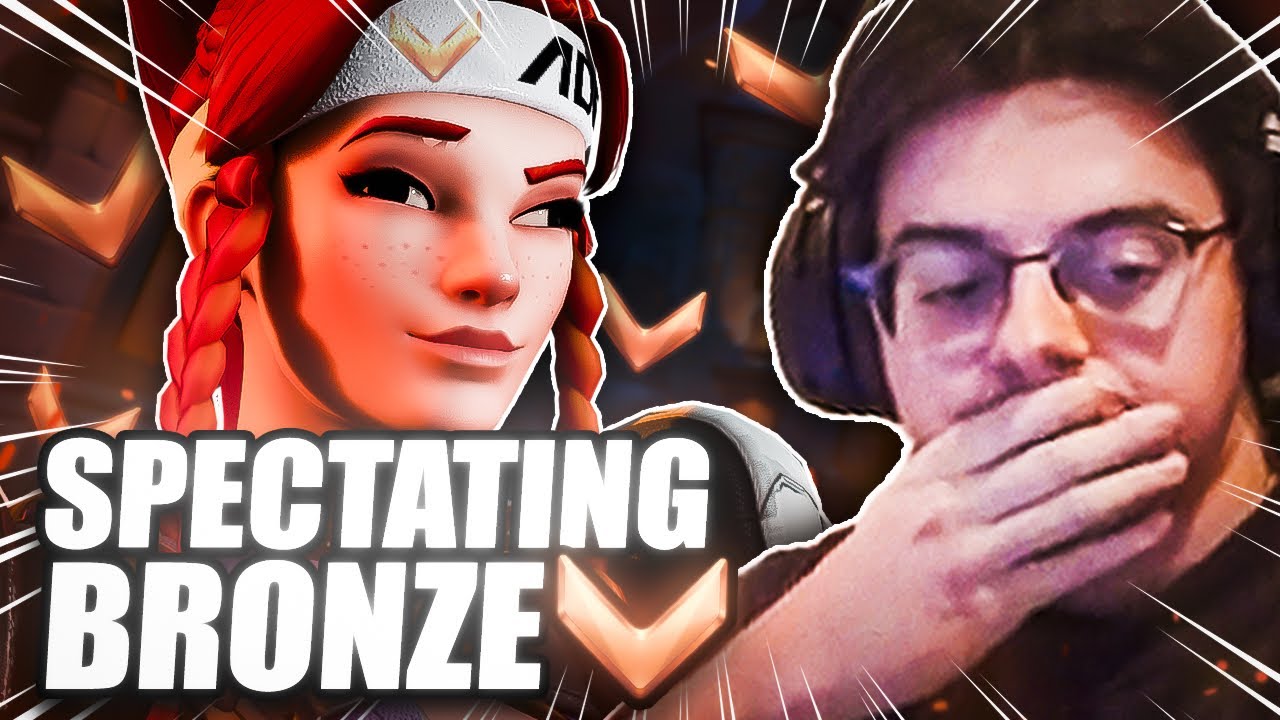 I Spectated a BRONZE support on Overwatch