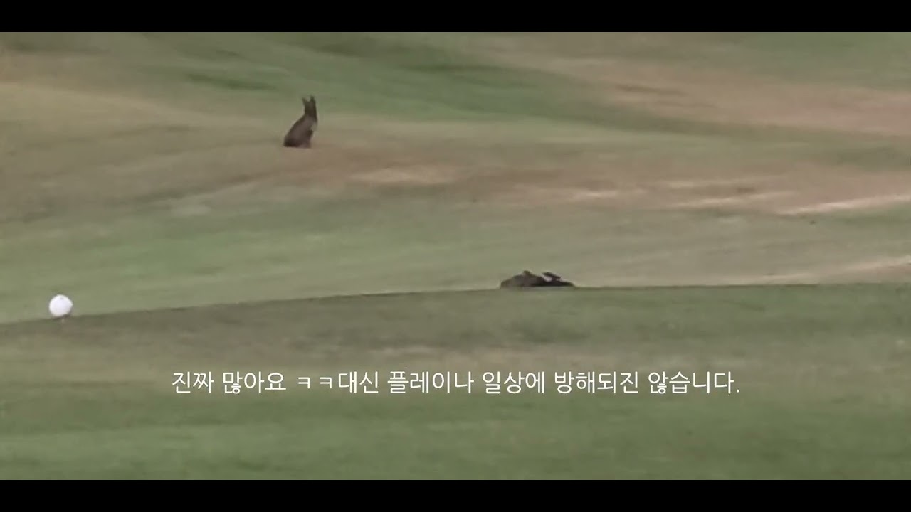 태국 장박골프 전자훈련 칸차나부리 미션힐스 7분 총정리