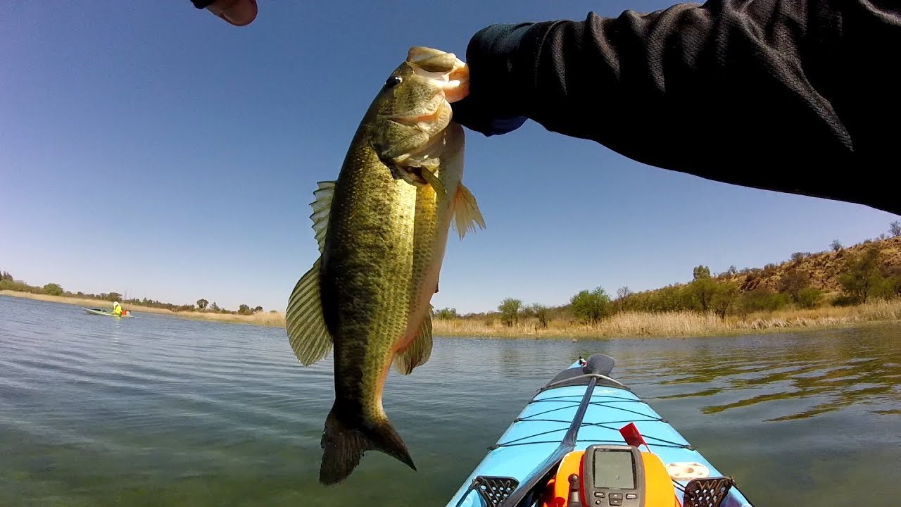Plenty off bass in crystal clear water from my kayak at Boskop dam #bassfishing