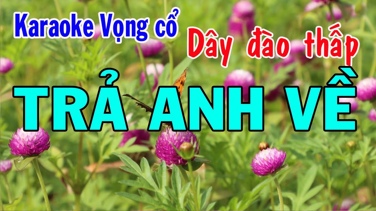 Karaoke vọng cổ TRẢ ANH VỀ  - DÂY ĐÀO THẤP