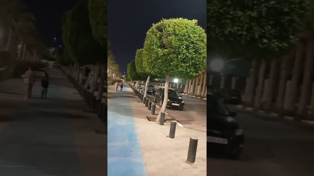 برج ♒ الدلو