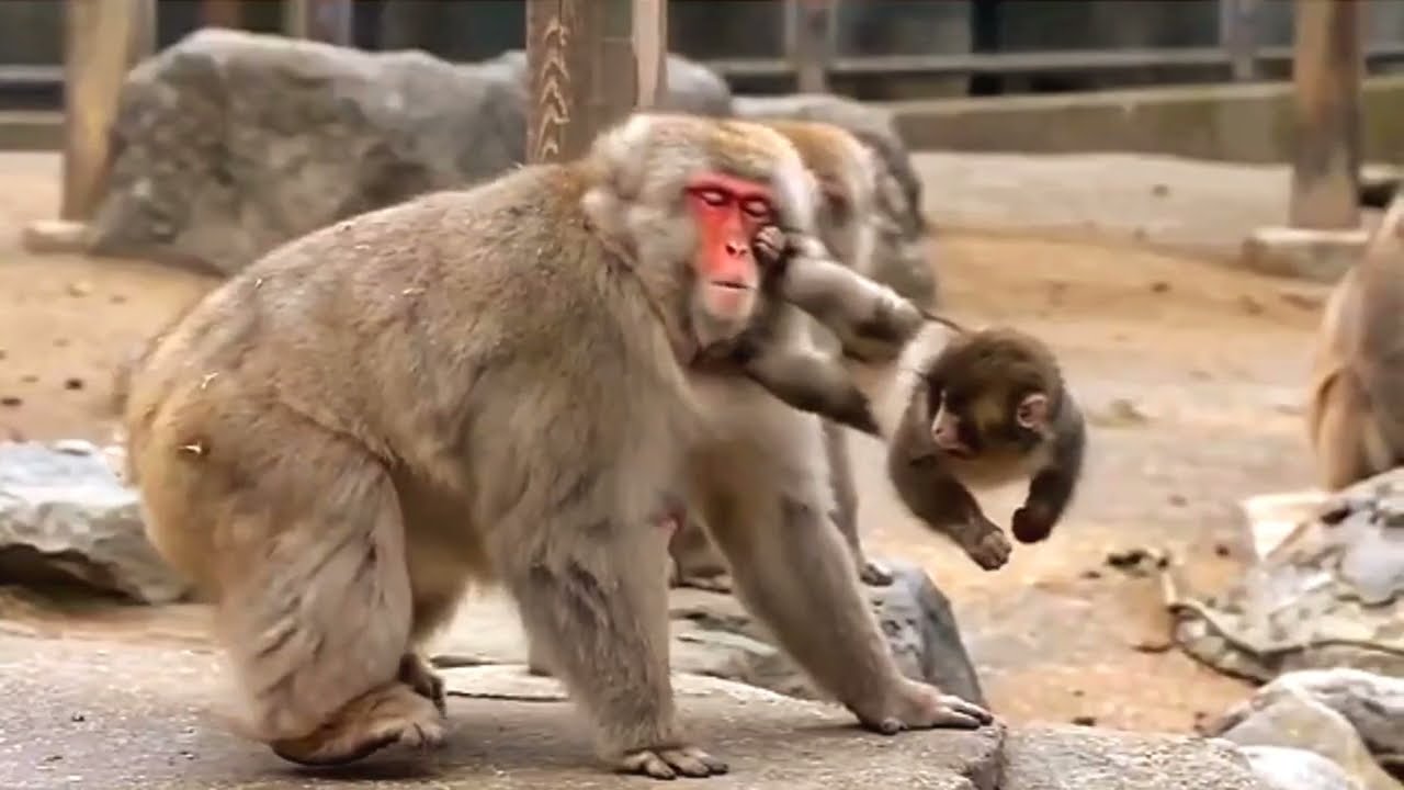 They Used to Bully Punch&hellip; Now He Fights Back 😳