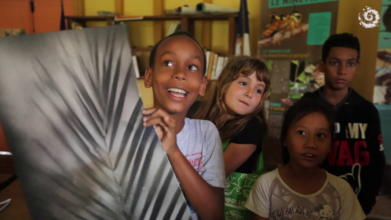 Education à l'environnement et au développement durable à Saül