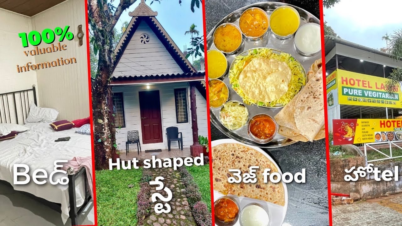 Munnar Food and Stay options * Pure veg food in Munnar * Low budget stay in Munnar * by @travee