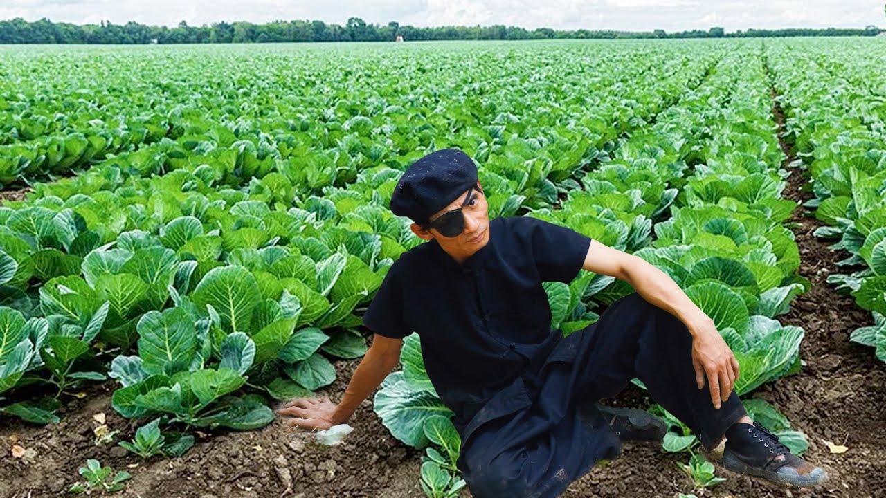 Converting a Wasteland into a Vegetable Garden - Building a Farm Alone
