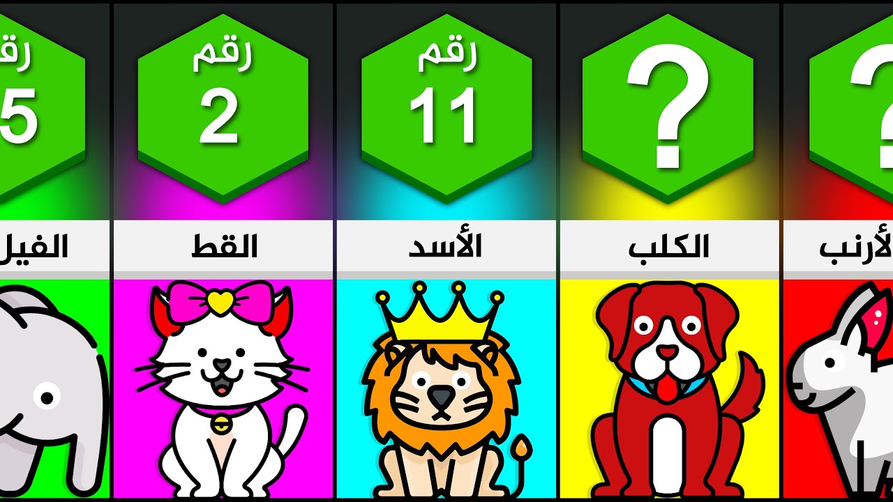 ماذا يقول عنك حيوانك المفضل؟