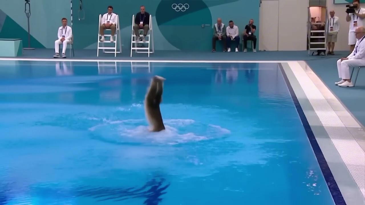 Bigfoot vs Cat Diving Olympics Vlog | Google Veo 3 Hailuo