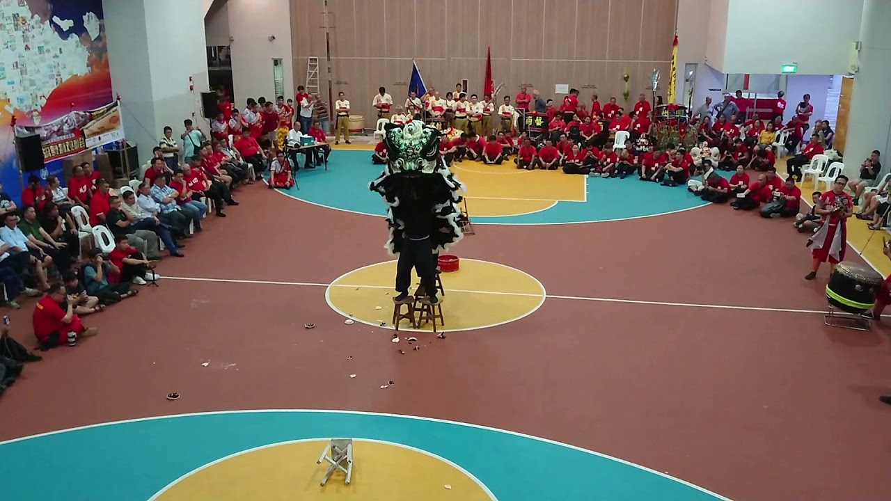 第二届传统舞狮观摩会 24112018 星洲龙狮体育会