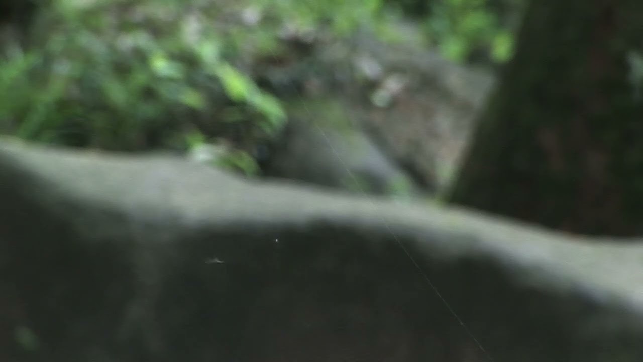 20130429