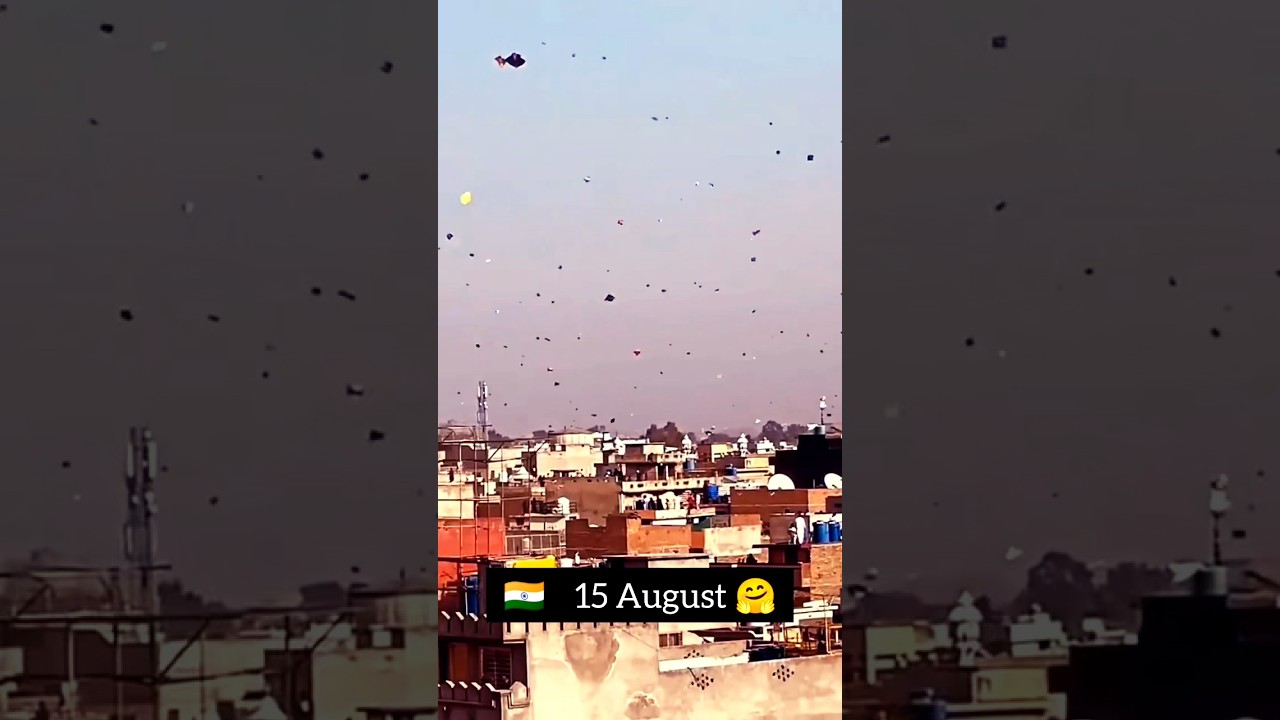 15🇮🇳August ki Taiyari Zoro Pe || Delhi🇮🇳and Brazil🇧🇷|| Kite Flying 🥰👿#kitemaking #shortsfeed