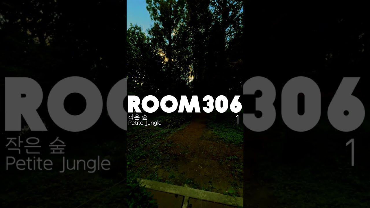 Room306  [작은 숲 Petite Jungle] 🌳 (Full Audio Visualizer)
