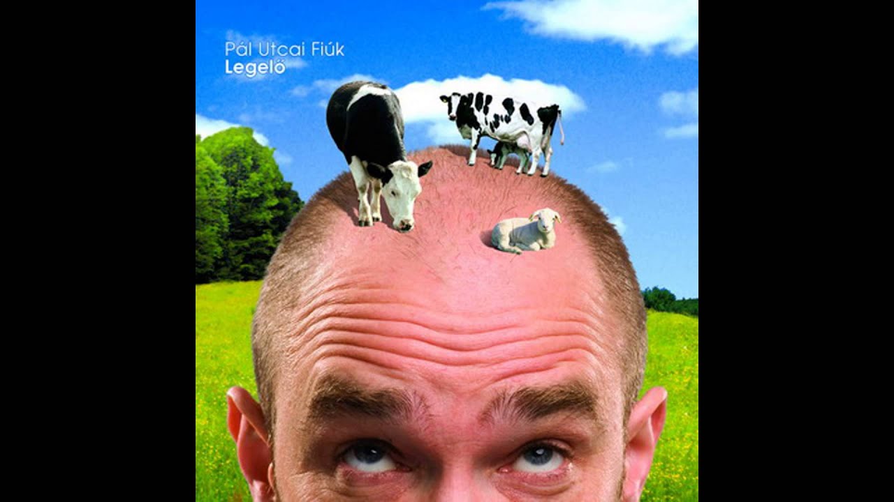 Pál Utcai Fiúk - Jó reggelt!