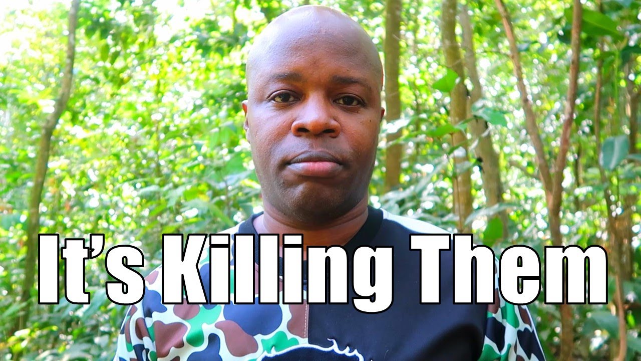 Their Hatred and Jealousy Towards You Is Killing Them