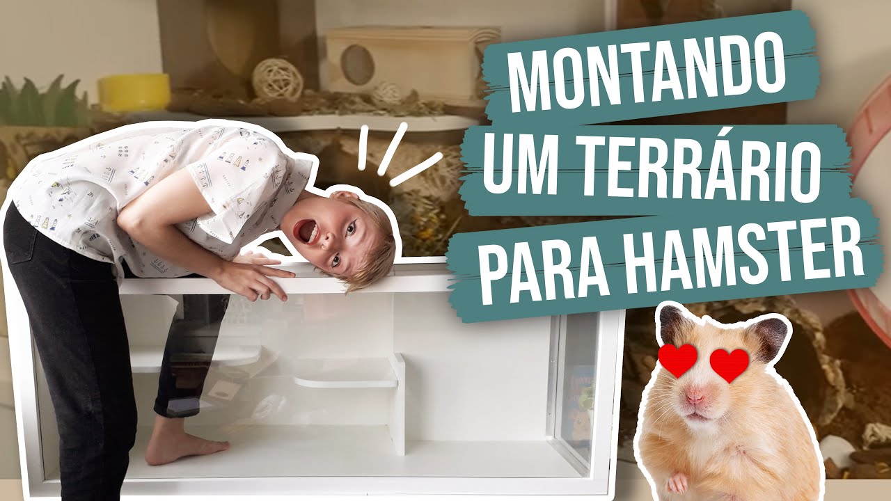 Montando um terrário naturalista para hamster