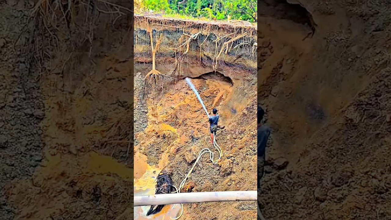 mendapatkan 30gram emas perhari #tambangemas #emasmurni #shortsvideo