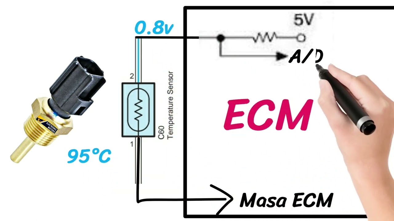 SENSOR De TEMPERATURA Del Refrigerante De Motor ECT. Que Es Y Para Que Sirve.
