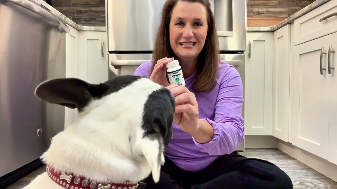 Denamarin for Dogs — Easy to Use, Vet Recommended