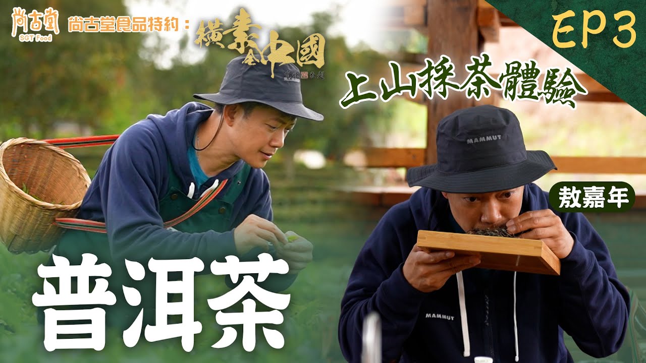 雲南普洱市兩大名物：普洱茶、雲南咖啡 敖嘉年 親自體驗上山採茶｜橫素全中國 ｜ EP3｜ 敖嘉年 ｜ HOY TV