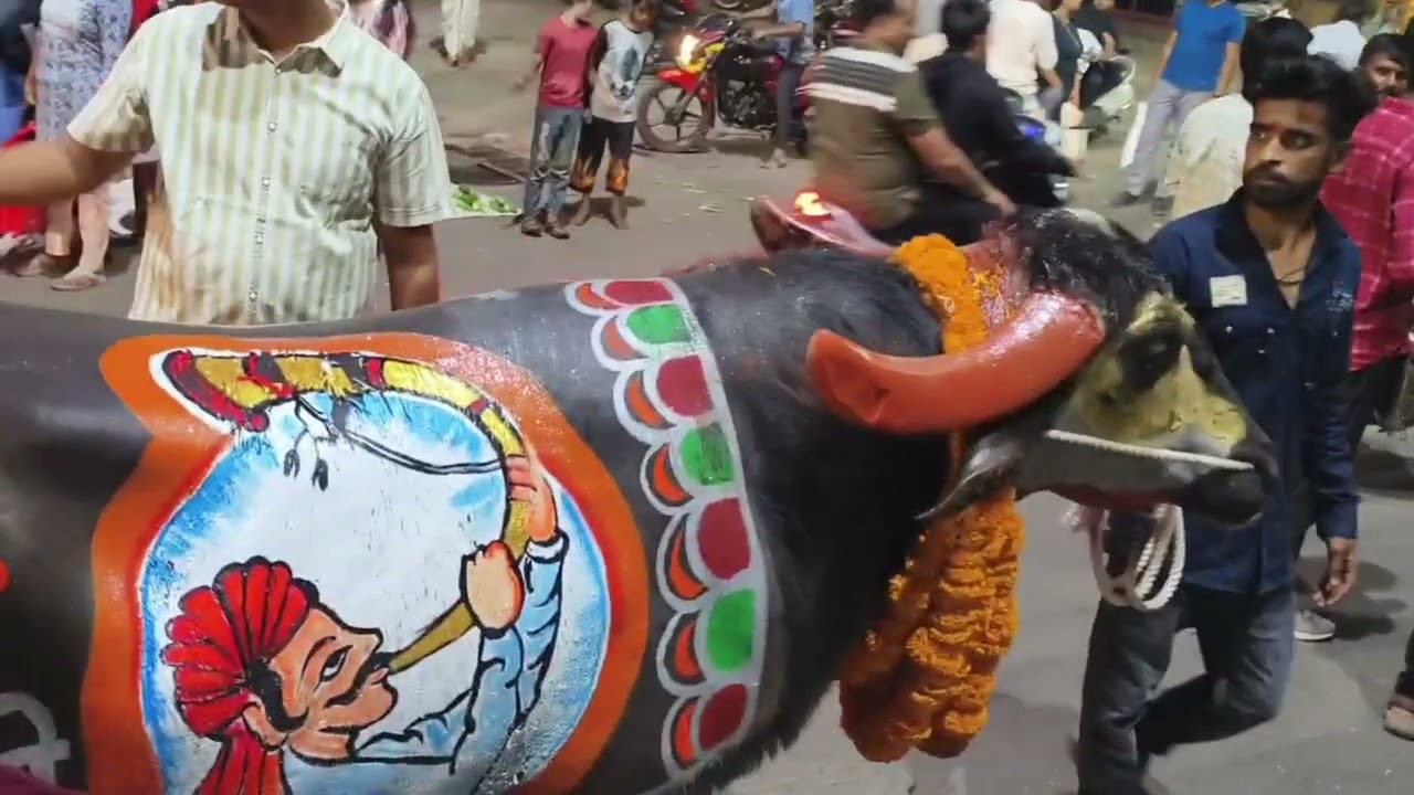 Diwali Padwa🐃(Nashikrr)♥️😍🔥