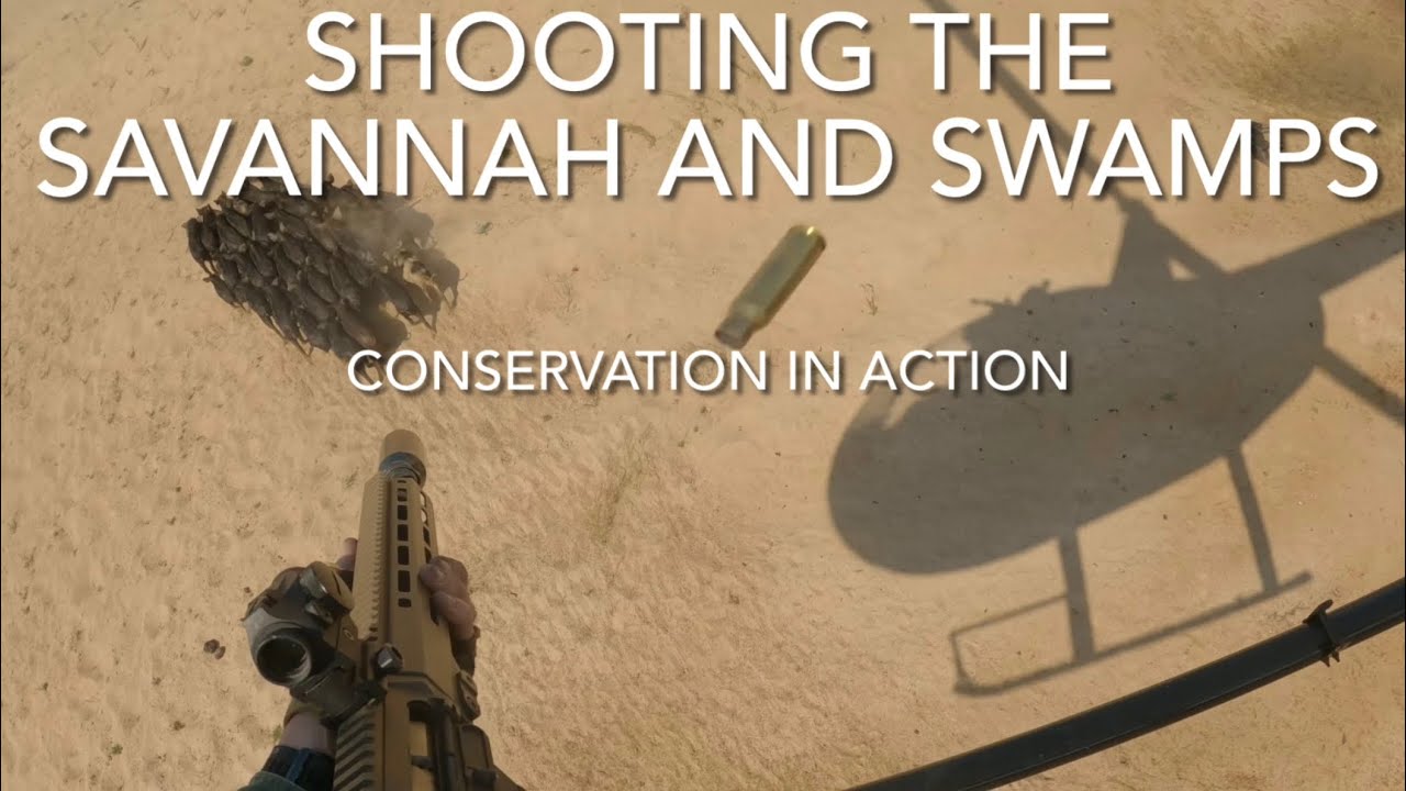 Shooting the Savannah and Swamps - conservation based aerial shooting