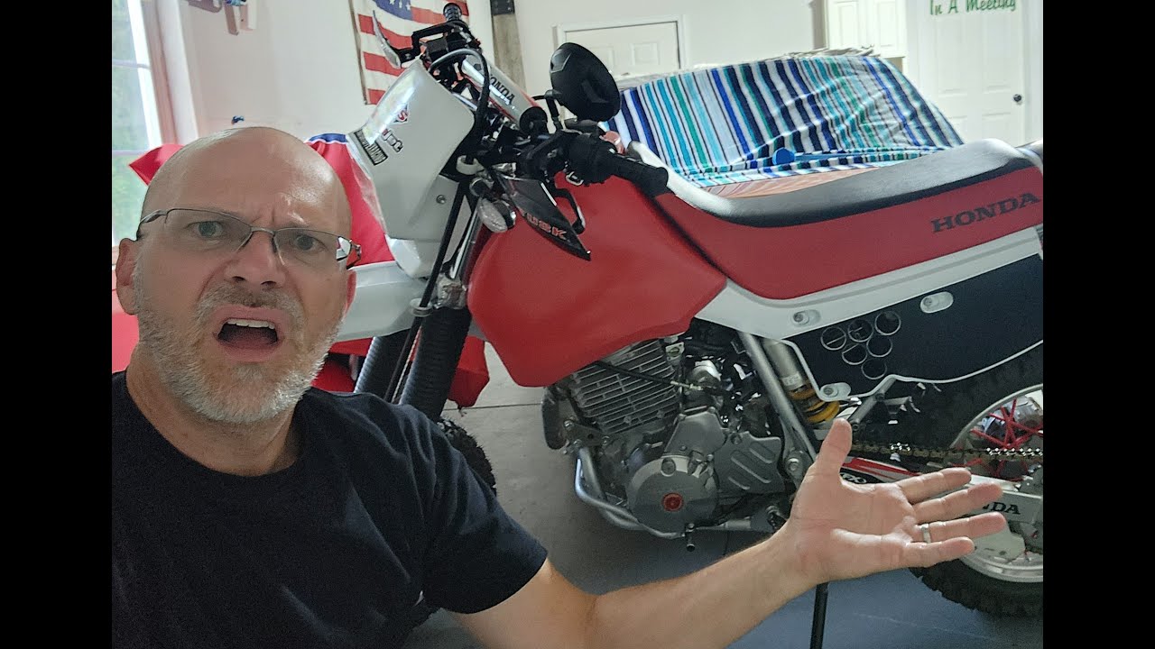 XR650L Amazon Levers