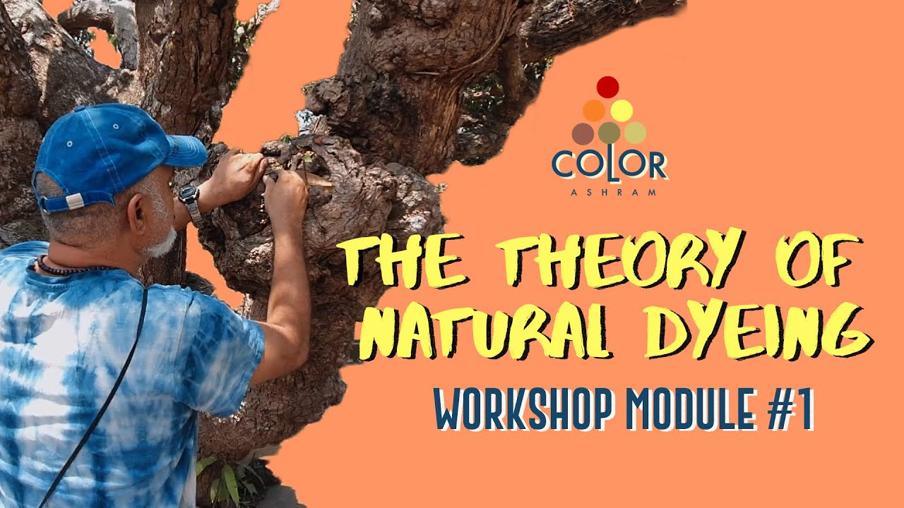 Understanding the HISTORY and CHEMISTRY of Natural Dyes | Color Ashram WORKSHOPS #naturaldyeing