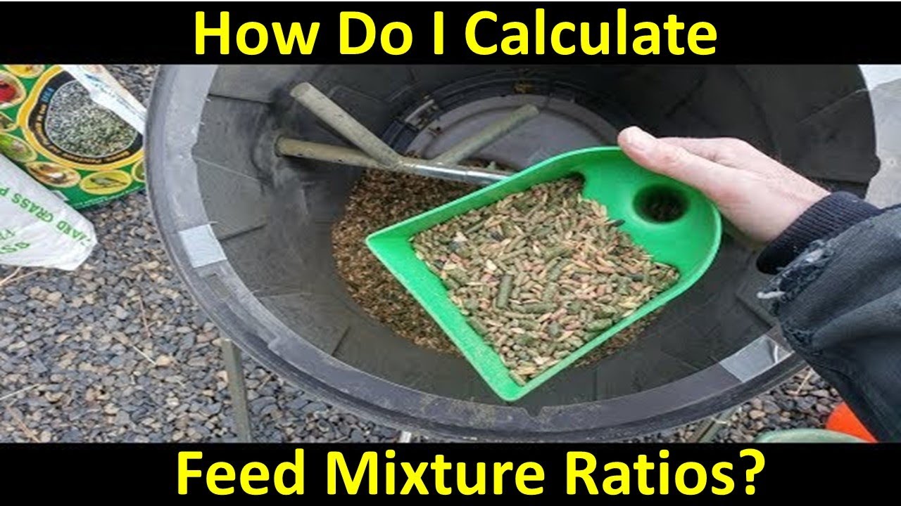 How to Calculate Livestock Feed Ratios Using the Weighted Average Method