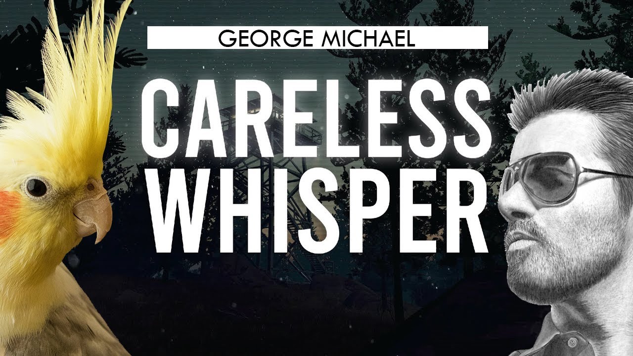 George Michael - Careless Whisper - Whistle - Silbada - Educa Tu Ninfa