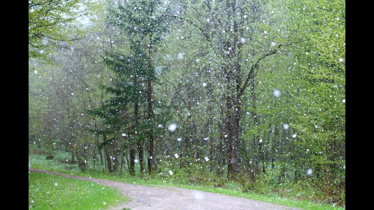Relaxing rain sounds for sleeping