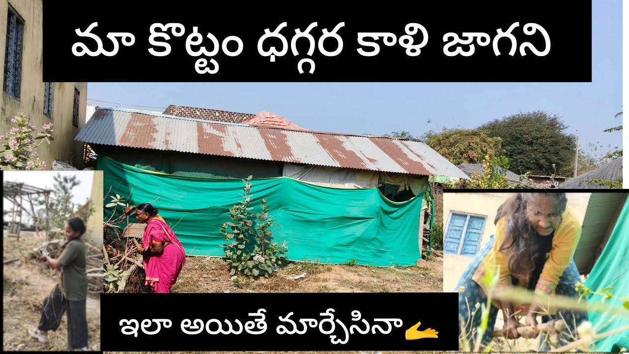 కొట్టం ధగ్గర ఉన్నా కాళీ జాగాలో 🫴#trending #viral #youtube #telugu #villagelife #farming #fields 
