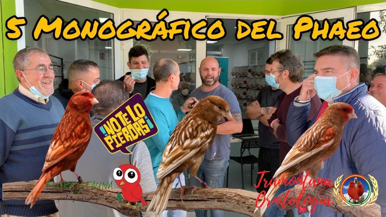 Visita de Alberto al MONOGRÁFICO del PHAEO....Valencia 2021...🇪🇦