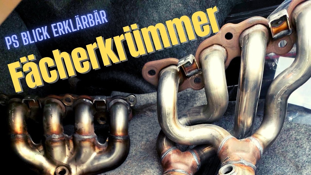 PS Blick - Erklärbär | Fächerkrümmer