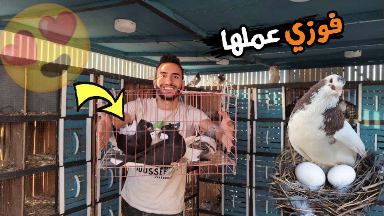 جالي حمام هديه 🤩 ومرات فوزي باضت(متابعه الحمام)