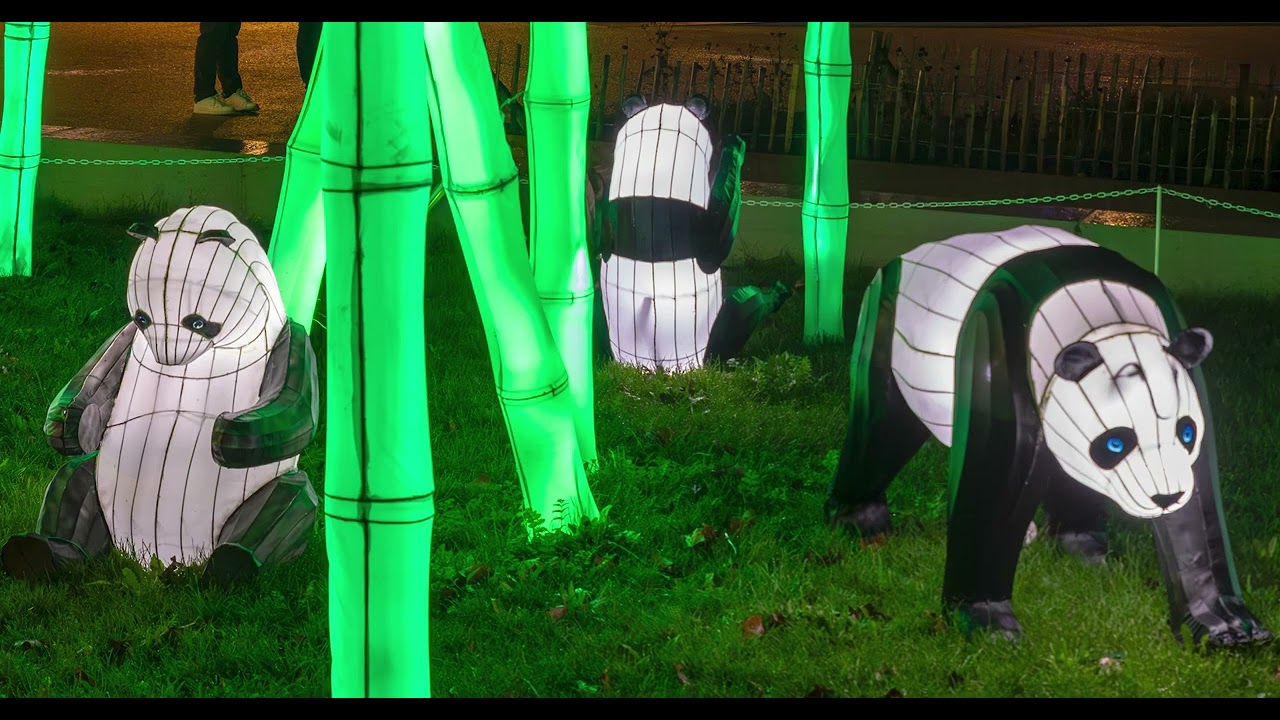 Les célèbres illuminations de Laval