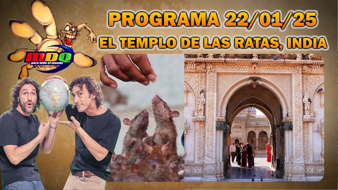 MDQ PARA TODO EL MUNDO - PROGRAMA 22/01/2025 - Karni Mata: El templo de las ratas en India