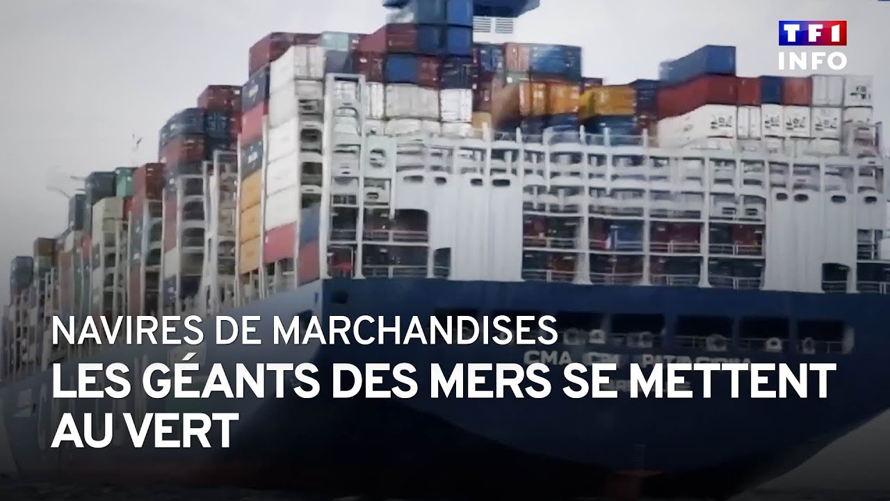 Navires de marchandises : quand les g&eacute;ants des mers se mettent au vert