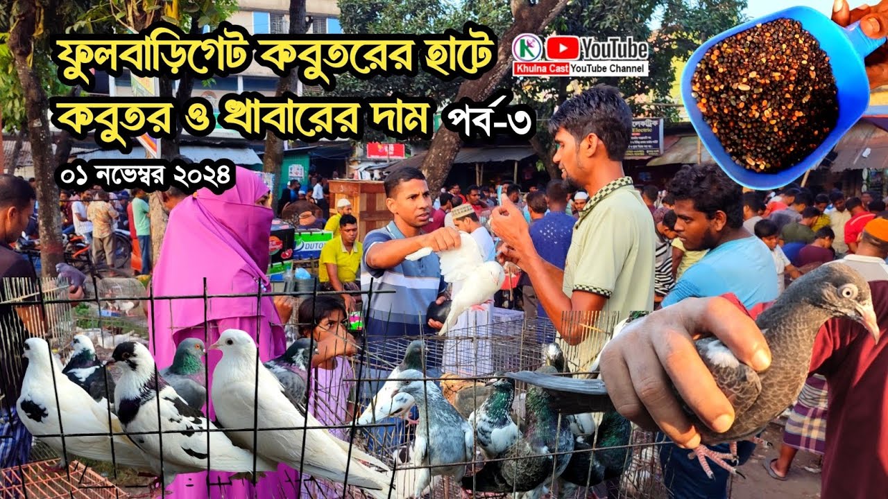 ফুলবাড়িগেট কবুতরের হাট।।ঐতিহ্যবাহী কবুতরের হাট। best pigeon market in khulna।।পায়রা বাজার #pigeon