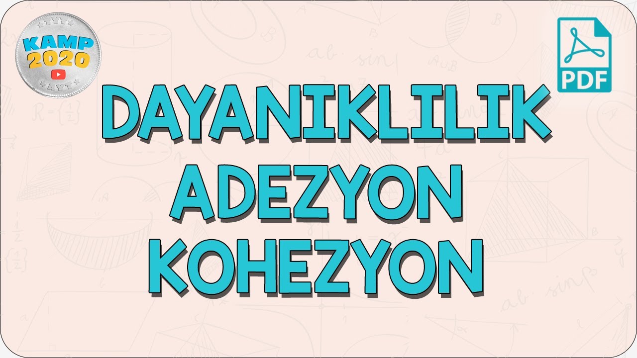 Dayanıklılık, Adezyon ve Kohezyon | Kamp2020