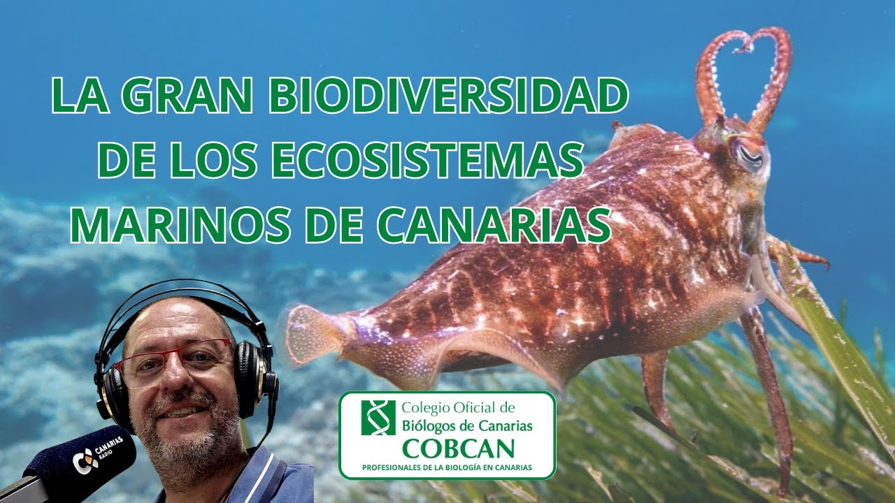 La gran Biodiversidad de los ecosistemas marinos de Canarias. Matías Fonte-Padilla, La Radio Canaria