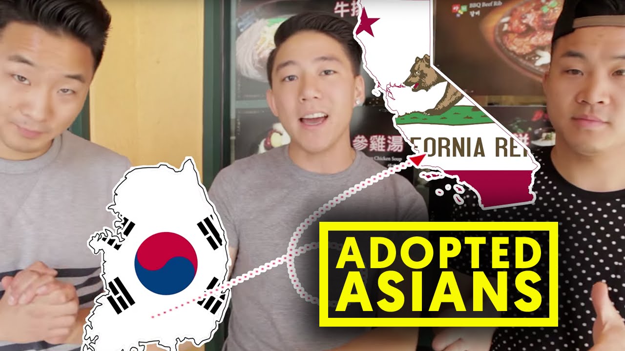 11 THINGS ABOUT ASIAN ADOPTEES w/ DanAKADan | Fung Bros