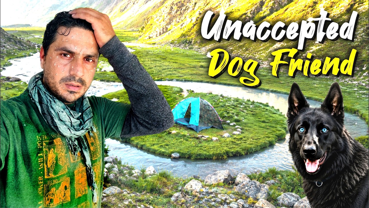 Unexpected Dogs Became My Friends | Outdoor Solo Camping