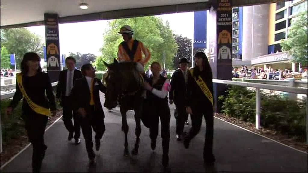 21.07.2012 Ascot (GB) 6.Race King George Stakes 2012 - Group I  2.414 m Winner: Danedream (GER)