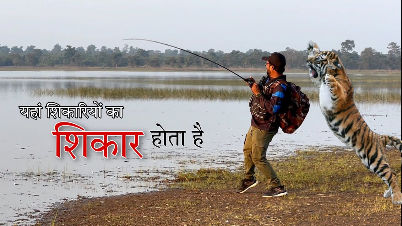 मौत के मुंह से FOREST  वालों  ने निकाला😱 Snakehead Fishing || 🐅 Tiger  के डर से यहां कोई नहीं जाता