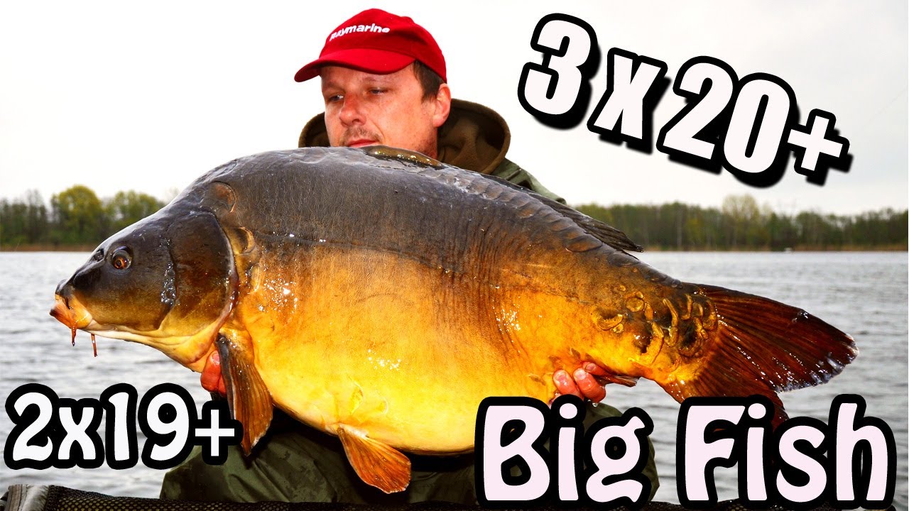 Big Fish | 3x20+| 2x19+ | Echosonda Element Raymarine | Łowisko Gosławice