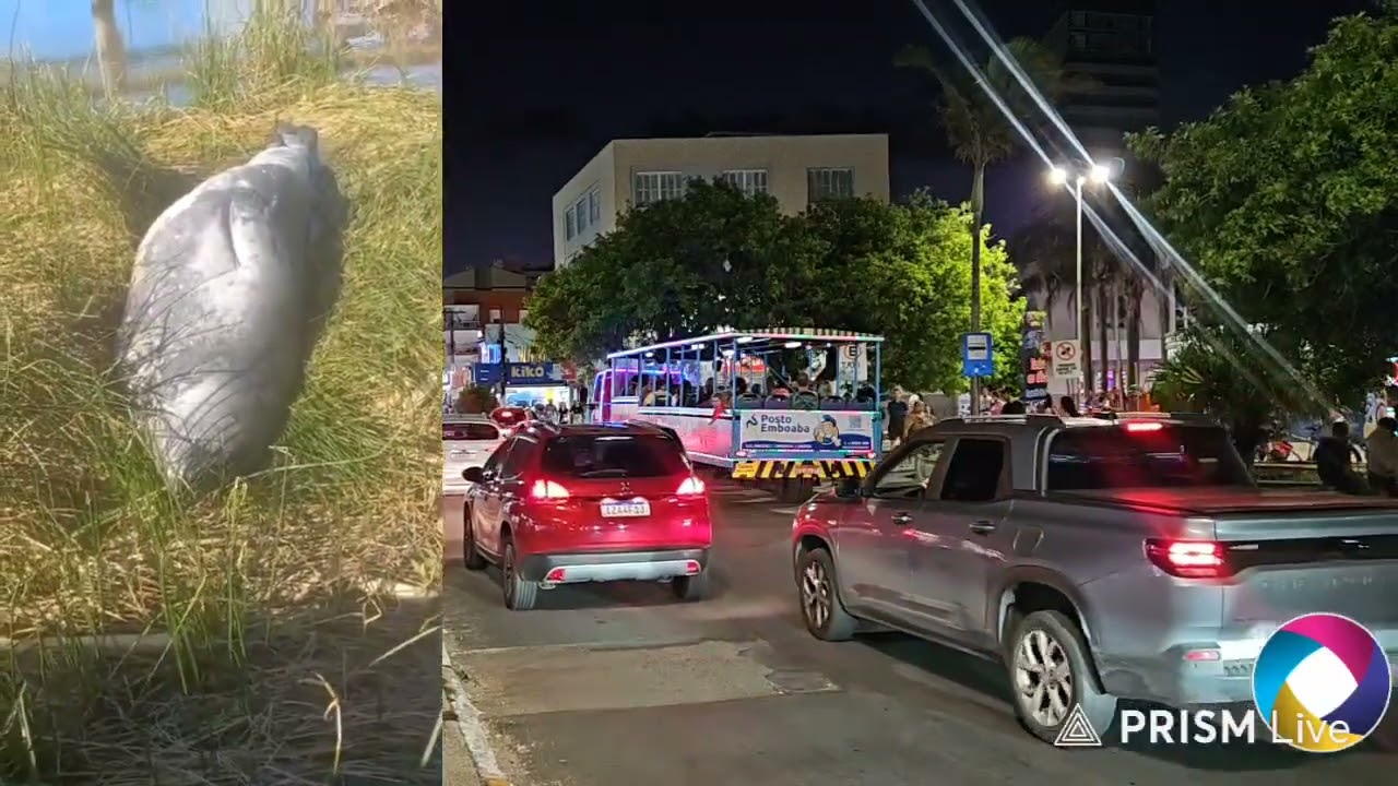 Jornal da Noite ⛔ Ação integrada entre BM e PC resulta em prisão de foragido em Tramandaí
