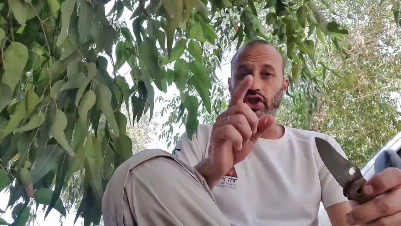 על עצים, הישרדות ועתיד האנושות