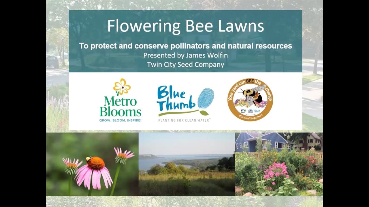 L2L Spring 2026 Pollinator Lawns