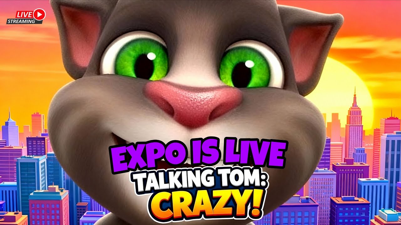 Talking Tom game