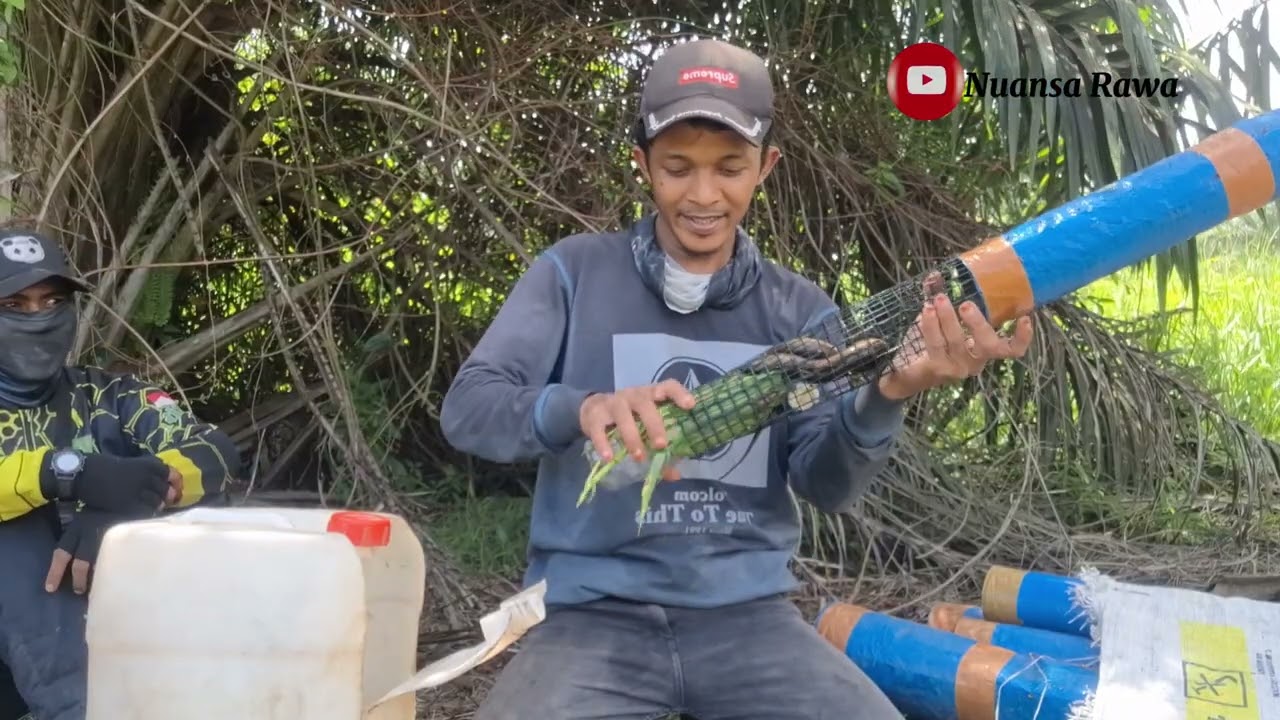 Air mulai surut🔥 , dan belut mulai berkeliaran dan bukan hanya belut 😱