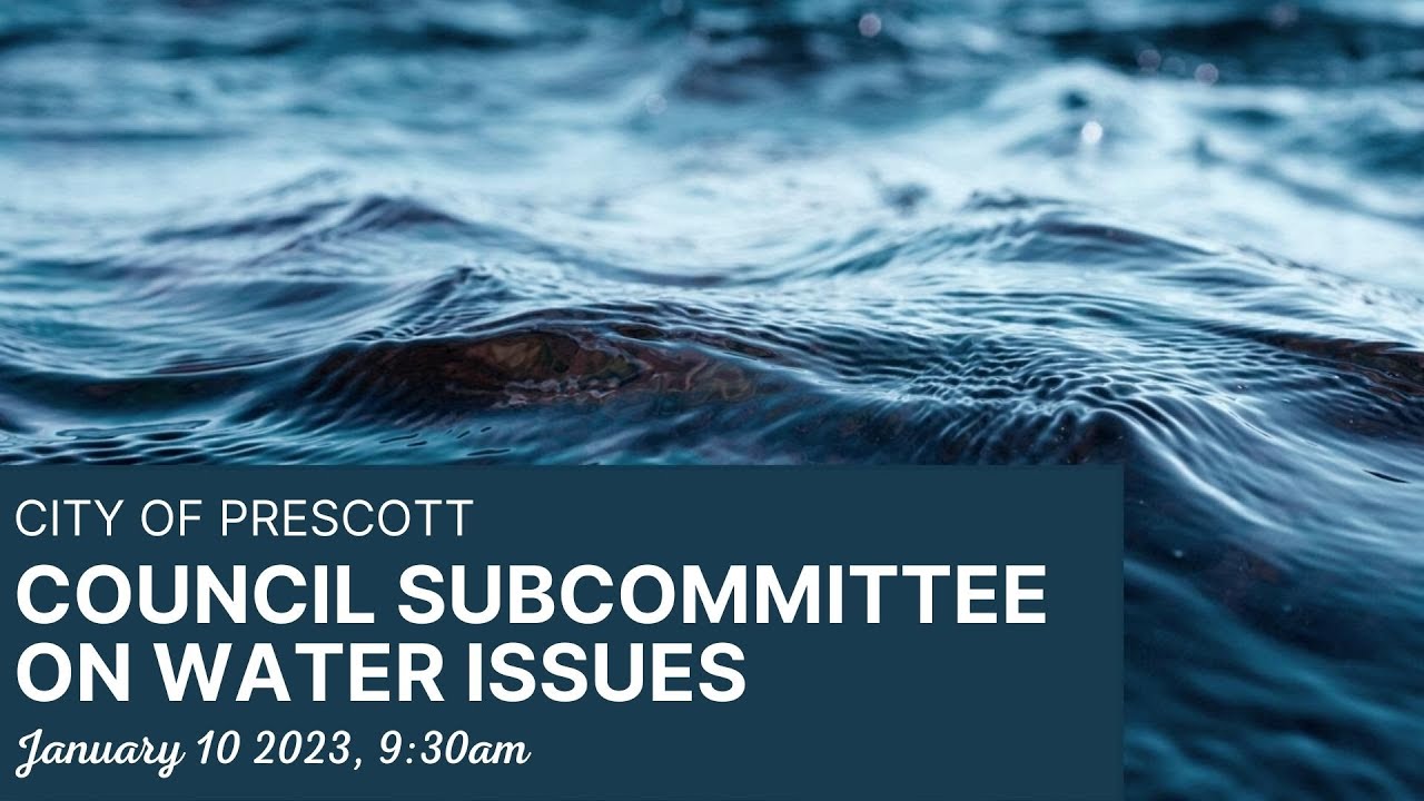Council Subcommittee on Water Issues - January  10, 2023